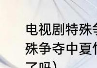 电视剧特殊争夺是什么时候拍的（特殊争夺中夏竹敏与岳振声最后在一起了吗）