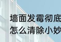 墙面发霉彻底解决方法（墙上发霉了怎么清除小妙招）