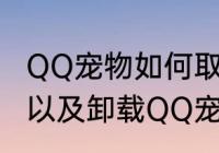 QQ宠物如何取消?不要他（如何关闭以及卸载QQ宠物，怎么删除QQ宠物）