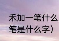 禾加一笔什么字正确答案（禾字加一笔是什么字）