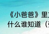 《小爸爸》里文章的女友珊珊真名叫什么谁知道（张子萱演过小爸爸吗）