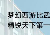 梦幻西游比武称谓有哪些（梦幻西游精锐天下第一是什么称谓）