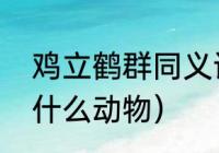 鸡立鹤群同义词（鹤立鸡群令人钦是什么动物）