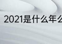 2021是什么年么（2021年是巳年吗）