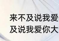 来不及说我爱你大结局是什么（来不及说我爱你大结局是什么）