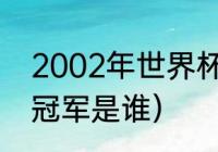 2002年世界杯冠军（2002年世界杯冠军是谁）