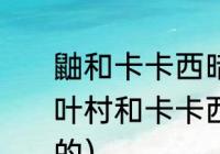 鼬和卡卡西暗部相遇多少集（鼬进木叶村和卡卡西他们打是第几集要动画的）