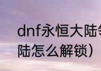 dnf永恒大陆领主开放时间（永恒大陆怎么解锁）