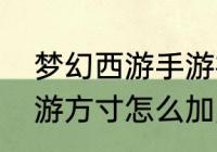 梦幻西游手游神威方寸加点（梦幻西游方寸怎么加点）