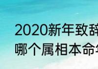 2020新年致辞精辟短句（2020年是哪个属相本命年）