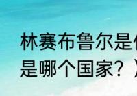 林赛布鲁尔是什么赛车手？（布鲁尔是哪个国家？）