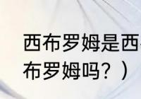 西布罗姆是西布朗吗？（西布朗是西布罗姆吗？）