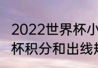 2022世界杯小组赛出线规则？（世界杯积分和出线规则？）