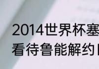 2014世界杯塞尔维亚阵容？（你怎样看待鲁能解约日科夫这件事？）