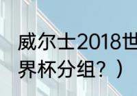 威尔士2018世界杯战绩？（葡萄牙世界杯分组？）