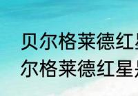 贝尔格莱德红星是哪个联赛的？（贝尔格莱德红星是哪个联赛的？）