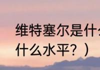 维特塞尔是什么水平？（维特塞尔是什么水平？）