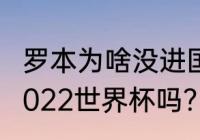 罗本为啥没进国家队？（罗本会参加2022世界杯吗？）