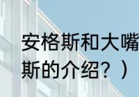 安格斯和大嘴安格斯的区别？（安格斯的介绍？）