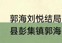 郭海刘悦结局？（山东省泰安市东平县彭集镇郭海邮编是什么？）