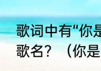 歌词中有“你是我的我是你的”叫什么歌名？（你是你的我是啥意思？）