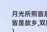 月光所照皆是故乡意思？（明月所照皆是故乡,双脚所踏皆是生活的意思？）