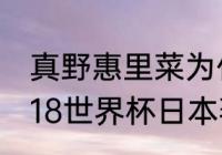 真野惠里菜为什么嫁给柴崎岳？（2018世界杯日本著名球员？）