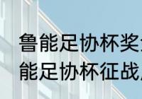 鲁能足协杯奖金多少？（2017山东鲁能足协杯征战历史？）