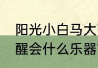 阳光小白马大张伟苏醒哪一期？（苏醒会什么乐器？）