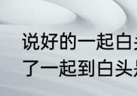 说好的一起白头下一句？（我们说好了一起到白头是哪首歌？）