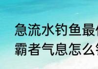 急流水钓鱼最佳方法？（疯狂骑士团霸者气息怎么钓？）