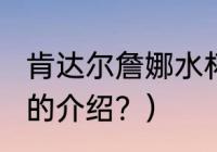 肯达尔詹娜水杯多大？（肯达尔·詹娜的介绍？）