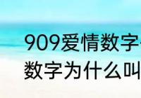 909爱情数字代表什么意思？（909数字为什么叫九天揽月？）