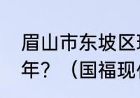 眉山市东坡区现代城飞仙街西修建那年？（国福现代城为什么便宜？）