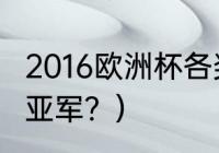 2016欧洲杯各奖项？（2016欧洲杯冠亚军？）