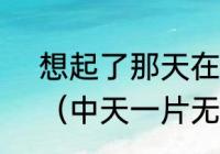 想起了那天在夕阳下奔跑完整句子？（中天一片无情月出自哪里？）