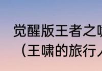 觉醒版王者之啸跟非觉醒版的区别？（王啸的旅行人生是做什么工作的？）