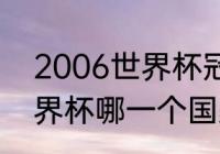 2006世界杯冠军成员？（2006年世界杯哪一个国家是冠军？）