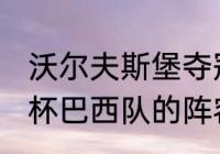 沃尔夫斯堡夺冠阵容？（2010年世界杯巴西队的阵容名单？）