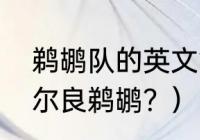 鹈鹕队的英文简称？（为什么叫新奥尔良鹈鹕？）