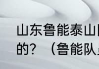 山东鲁能泰山队张弛的爸爸是干什么的？（鲁能队员名单2021？）