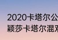 2020卡塔尔公开赛决赛？（王楚钦孙颖莎卡塔尔混双是亚军吗？）