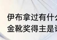 伊布拿过有什么奖项？（2002世界杯金靴奖得主是谁？）