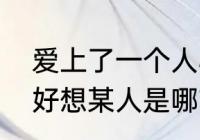 爱上了一个人心里想着是什么歌？（好想某人是哪首歌？）