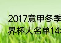 2017意甲冬季转会一览？（意大利世界杯大名单14年？）