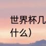 世界杯几星代表什么（四星球队都有什么）