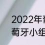 2022年葡萄牙进入世界杯了吗（葡萄牙小组第几进入世界杯）