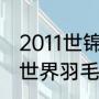 2011世锦赛乒乓球男单决赛（2011年世界羽毛球锦标赛决赛解说员是谁）