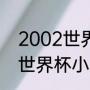 2002世界杯小组赛分布情况（2002世界杯小组积分榜）