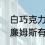 白巧克力有几个总冠军（白巧克力威廉姆斯有总冠军吗）